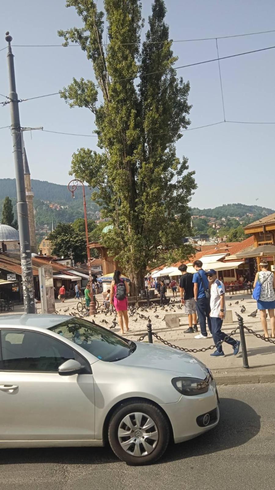 Oaza Mira Villa *